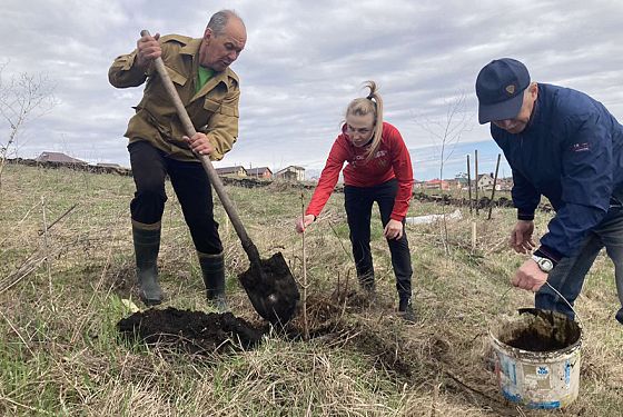 В Заре заложили аллею Победителей