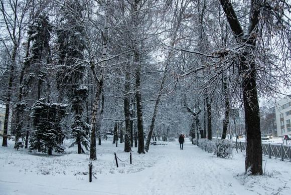 В Пензенской области ожидается сильный снег и метель