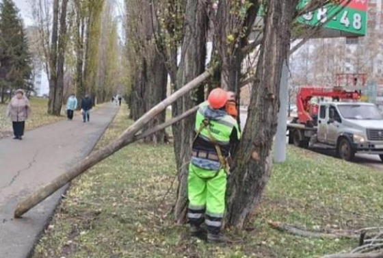 На пензенских улицах ликвидируют последствия сильного ветра