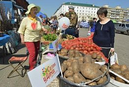 В Пензе станет больше сезонных ярмарок