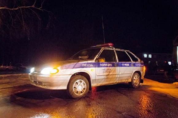 В Нижнеломовском районе злоумышленник украл 15 мешков зерна