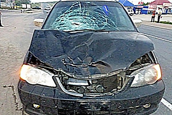 В Мокшанском районе автомобиль Honda сбил пешеходов, есть пострадавшие
