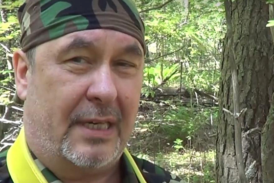 Ученый раскрыл тайну «пьяного» леса в Пензенской области