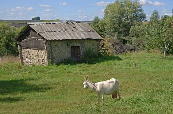 Пензенский губернатор ввел мораторий на выкупную стоимость земли