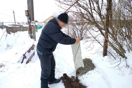 Стали известны подробности гибели бабушки и внучки в Колышлее