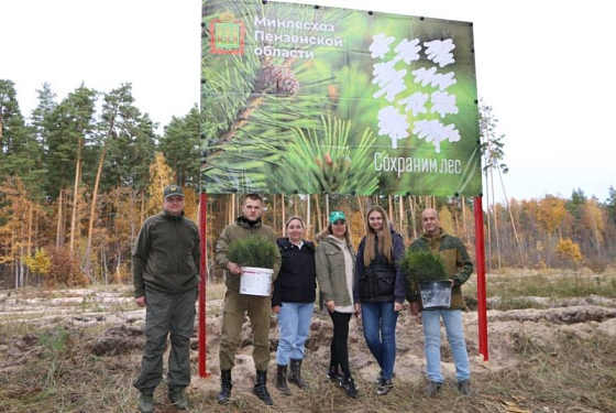 В Пензенской области восстановлено порядка 6 тысяч гектаров леса