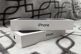 Житель Бессоновки оплатил долги после ареста своего iPhone Житель Бессоновки оплатил долги после ареста своего iPhone