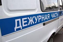 В Каменском районе обнаружено тело пенсионера, пропавшего под Новый год