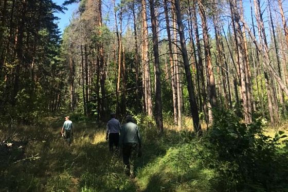 В Пензенской области усилили работу по лесной охране