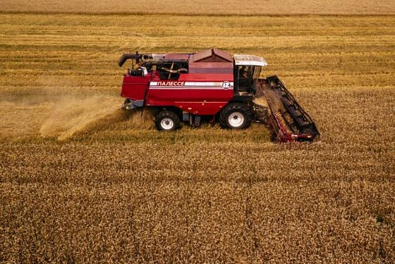 Аграрии Пензенской области получили 3,1 млн тонн зерна