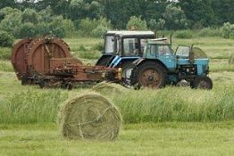 В Пензенской области намерены вернуть в оборот неиспользуемые земли