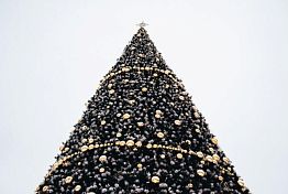 Пензенцам рассказали, как выбрать новогодний костюм ребенку Пензенцам рассказали, как выбрать новогодний костюм ребенку