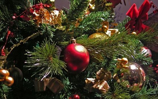 В Кремль привезли главную новогоднюю елку страны