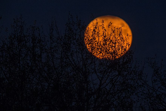 Пензенцы поделились фото Оленьей Луны