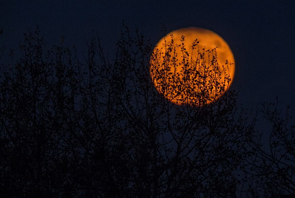 Пензенцы поделились фото Оленьей Луны