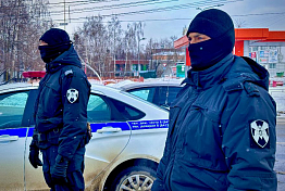 В Пензенской области задержали мужчину, находившегося в федеральном розыске