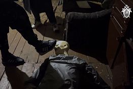 Двое сердобчан забили знакомого ножкой стула и спрятали труп под диван Двое сердобчан забили знакомого ножкой стула и спрятали труп под диван