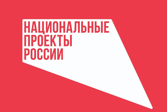Объем закупок у пензенских самозанятых достиг 29 млн рублей в I квартале 2026