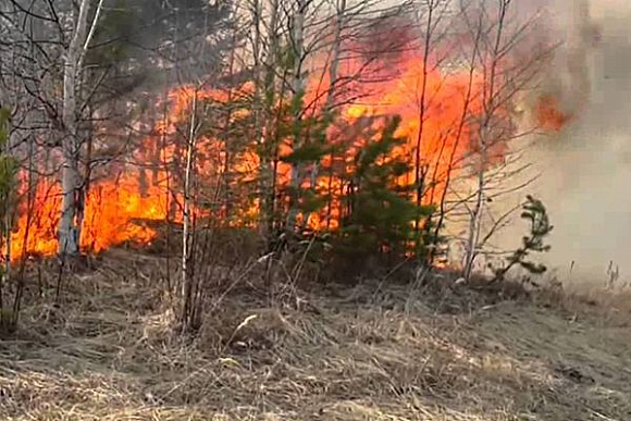 В Пензенской области закрывается пожароопасный сезон