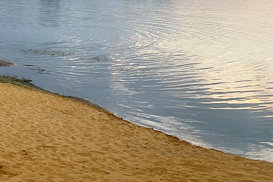 Роспотребнадзор назвал пляжи Пензы, не отвечающие санитарным нормам