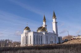 Олег Мельниченко обещал содействовать завершению строительства Соборной мечети