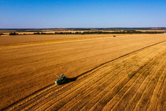 В Пензенской области предстоит убрать более 850 тыс. га зерновых 