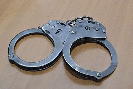 В Пензе начальника Управления по вопросам миграции задержали за взятки