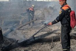 Пенза: в поселке Победа второй день горит трава