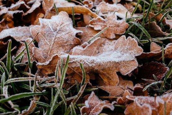 В Пензе 1 ноября прогнозируют мокрый снег и ночные заморозки