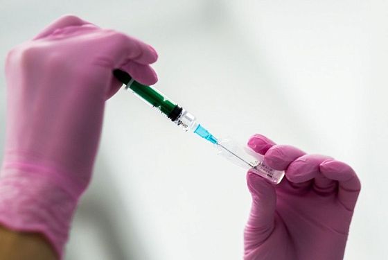 Мясо с сальмонеллой из Пензы стало причиной вспышки инфекции в детсадах