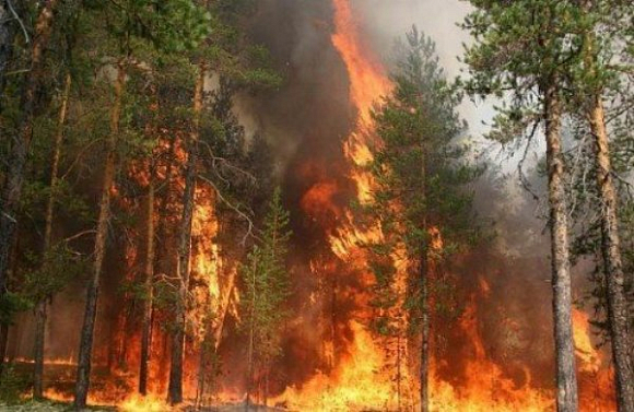 В двух районах Пензенской области сохраняется наивысший класс пожарной опасности