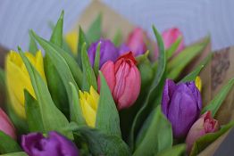 Пензячка помогала знакомой с покупкой цветов и лишилась 800 тыс. рублей