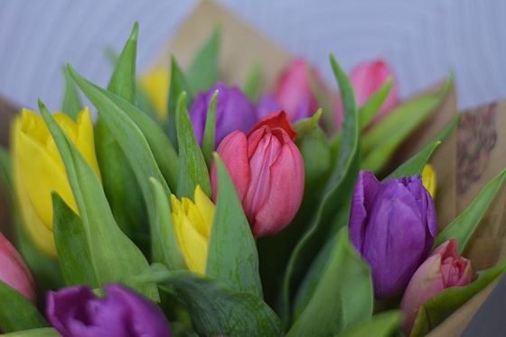 Пензячка помогала знакомой с покупкой цветов и лишилась 800 тыс. рублей