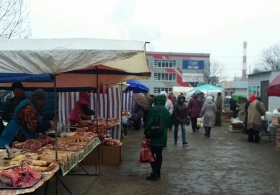На ярмарках пензенцы могут купить мясо от 220 рублей за кило