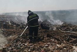 Спасатели опубликовали фото тлеющей свалки в Чемодановке