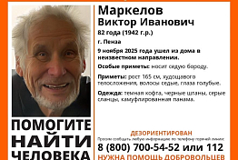 В Пензе ищут 82-летнего пенсионера с седой бородой