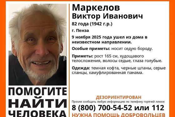 В Пензе ищут 82-летнего пенсионера с седой бородой
