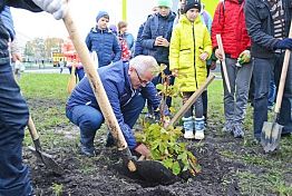 Белозерцев вместе с учениками школы №66 посадил каштаны