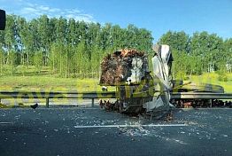 «На дороге куча перьев и кур»: Под Пензой в ДТП попал перевозчик птиц