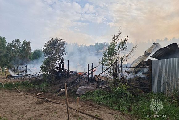 В Сосновоборском районе сельчане и пожарные уберегли жилые дома