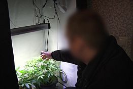 Пензенец поплатился за организацию сада на подоконнике