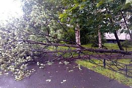 В Пензе из-за прошедшего урагана без света осталось несколько сотен домов В Пензе из-за прошедшего урагана без света осталось несколько сотен домов