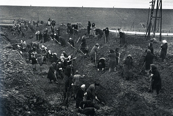 Вгрызались в мерзлый грунт: история создания Сурского рубежа