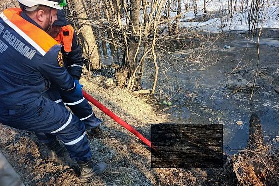 В Пензе из заболоченной местности достали тело мужчины