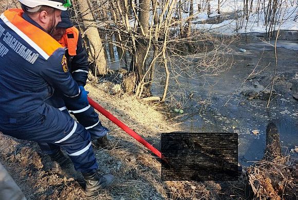 В Пензе из заболоченной местности достали тело мужчины