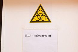 В Пензе лаборатории не справляются с наплывом желающих сдать тест на ковид