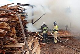 В Пензе сгорел склад с отходами деревообработки
