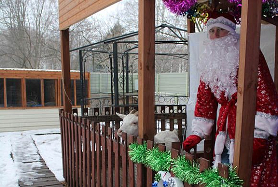 Вход в пензенский зоопарк 1 января 2020 обойдется всего в 50 рублей 