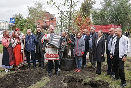 В Пензе на улице Московской высадили более 200 саженцев деревьев и кустарников