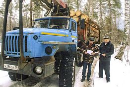 В Пензенской области перекроют незаконные каналы поставки леса В Пензенской области перекроют незаконные каналы поставки леса